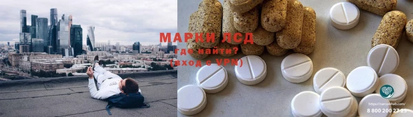 индика Семикаракорск