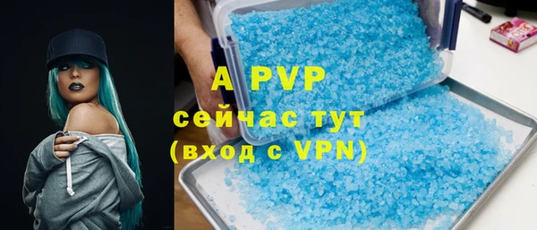индика Семикаракорск