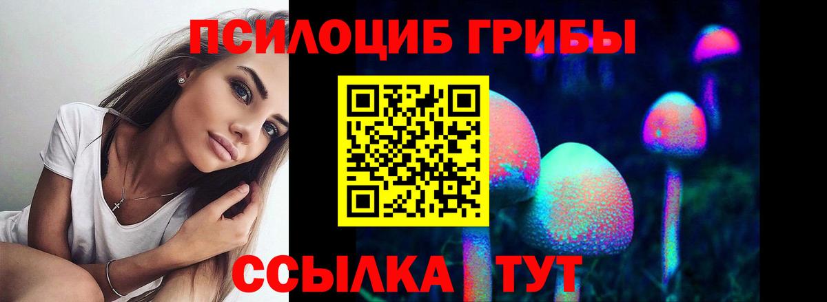 Псилоцибиновые грибы Cubensis  Вход с VPN  Ханты-Мансийск 
